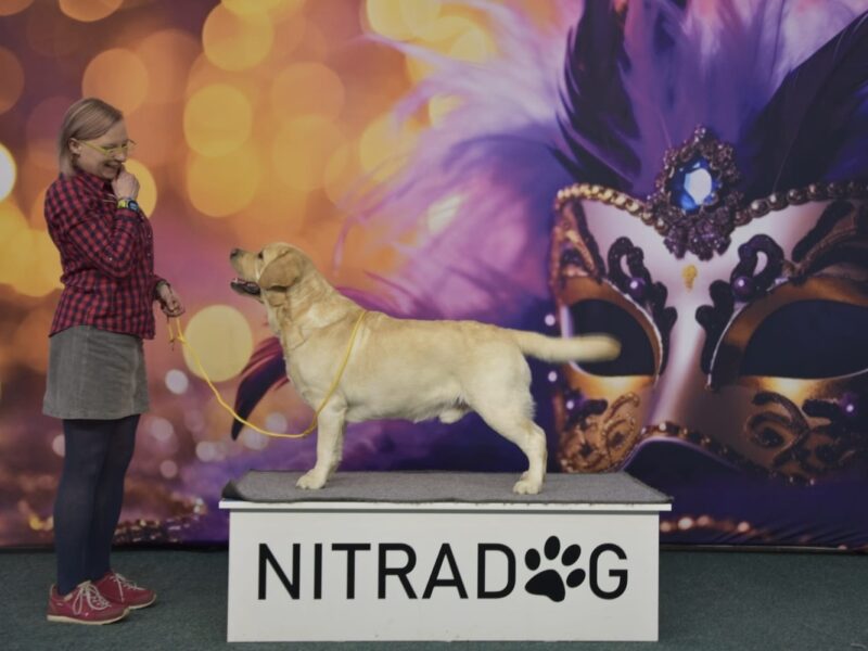 CH.PL,CH.SK,CH.RO,GR.CH.RO .REPRODUKTOR