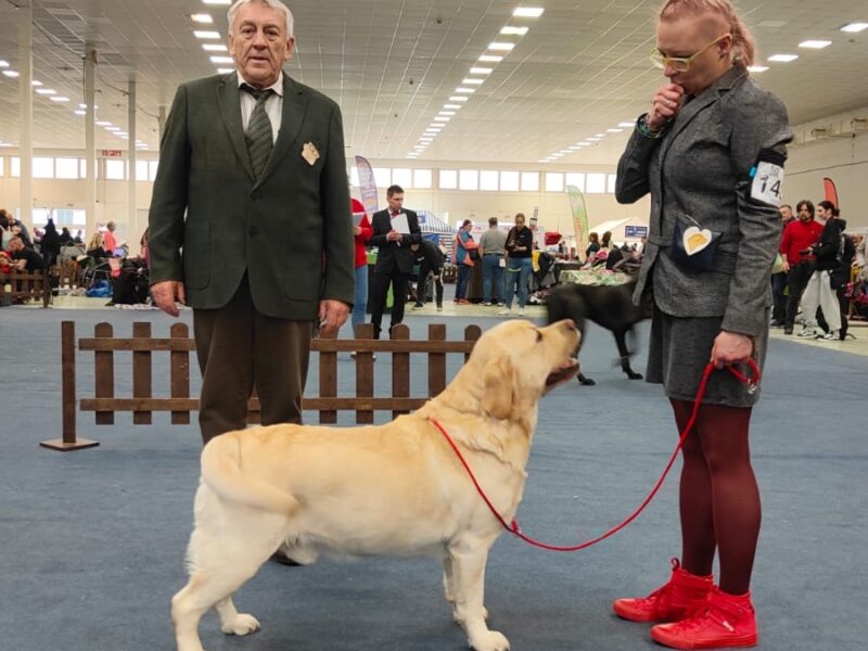 CH.PL,CH.SK,CH.RO,GR.CH.RO .REPRODUKTOR