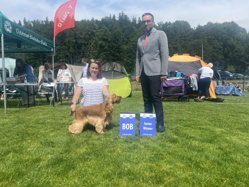 Merrysoul Daredevil imp. DE