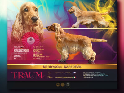 Merrysoul Daredevil imp. DE