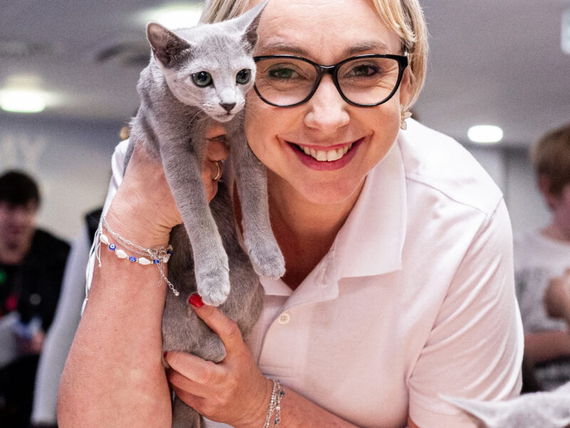 Kocurek GUCCI gotowy do zmiany domu (FPL Felis Polonia - Klub Kingdom of Cats)