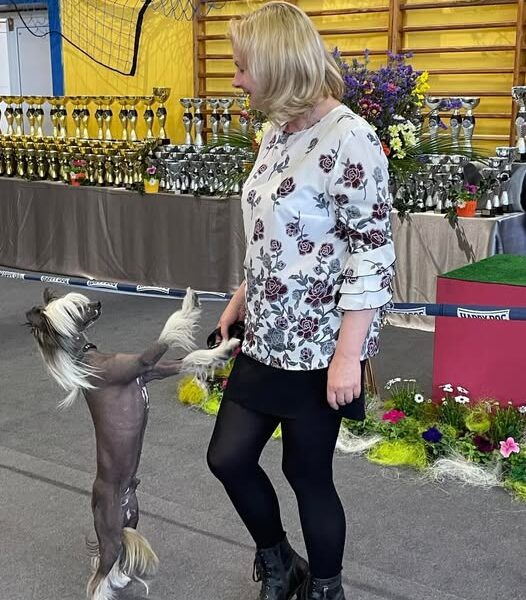 Chiński Grzywacz reproduktor