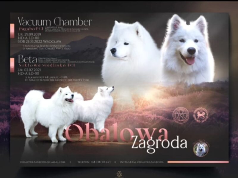 Samczyk po Championie Polski