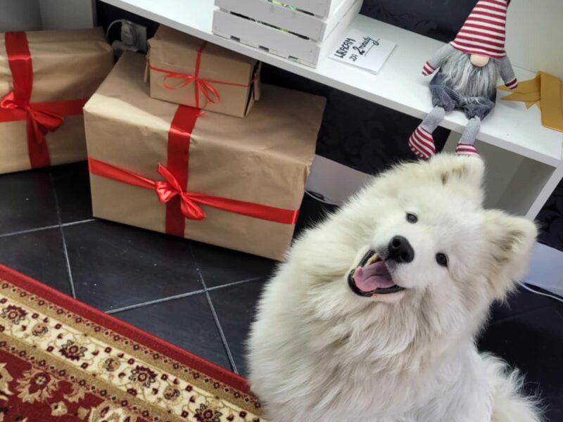 Samczyk po Championie Polski