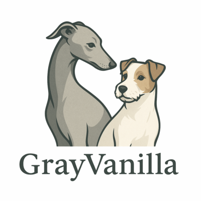 Grey Vanilla (FCI)