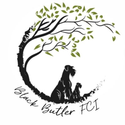 Black Butler FCI