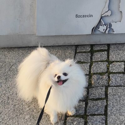 Furry Clouds FCI