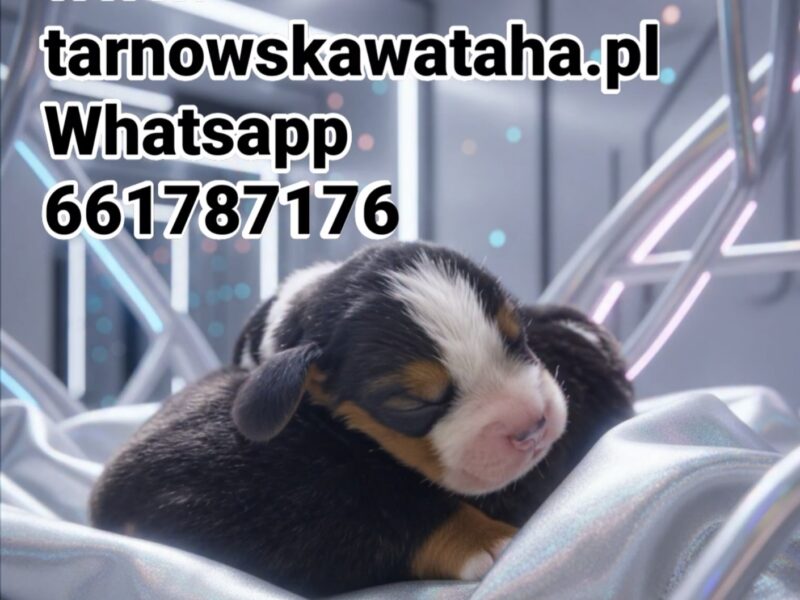 Rezerwacja